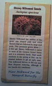 Asclepias syriaca, (Common Milkweed) Seeds, Packet of 300 seeds (ASY300)