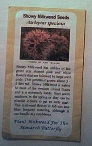 Asclepias speciosa, (Showy Milkweed) Seeds, Packet of 150 seeds, ASP150