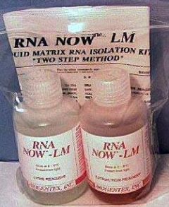 Fine Tip Transfer Pipettes (Pack of 100) (BX4016)