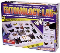 Entomology Lab  Deluxe  Insect Collecting Kit  without Net (EL200)
