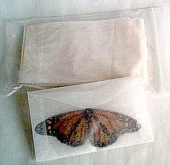 Glassine Envelopes, Pack of  100 (GE100)