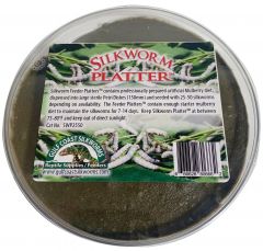 Silkworm  Reptile Feeder Platter, SWP2550