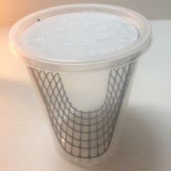 Hornworm (Manduca sexta) Feeder Habitat, 1 Cup (32-oz)  with mesh scaffolding, and  parasitoid-proof lid, HFH10