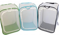 Butterfly Terrarium, 12 x 12 x 12,  LH75GR