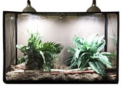 ReptilariumTM - Reptile, Bird,  Butterfly, Small Animal, and Insect  Habitat Terrarium, 16.5 x 30 x 48-inches (100-Gallons), REP100 