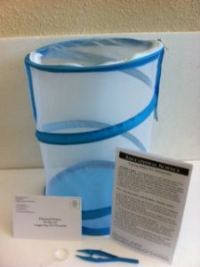Raise Your Own Praying Mantises Kit with certificate for Mantis Egg Case, PM1000C