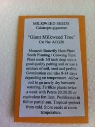 Asclepias, Calotropis procera (Giant Milkweed Tree) Seeds, packet of 10-20 seeds, CG20