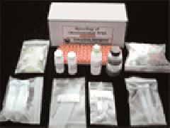 Introduction to PCR Techniques Kit-Module 14, SM14