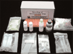 Bacterial Transformation(30 Preps) Kit-Module 11, SM11