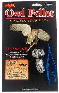 Owl Pellet Mystery Science Lab Kit for Kids - hand2mind