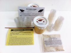 Painted Lady Butterfly Farm  Classroom Kit  Culture (35 Larvae shipped ASAP - no certificate) PC33A