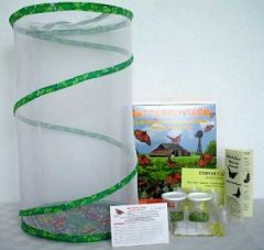 Painted Lady Butterfly Classroom Breeding Kit, 70 larvae (Ship ASAP), food, 60 cups,  PLKB100A