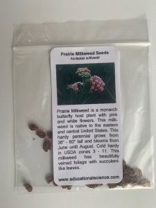 Asclepias sullivante (Prairie Milkweed),  Packet of 10-20 seeds, (ASU40)