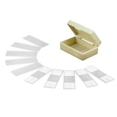 Microscope Prepared Slide Set, 100 slides, PS100A   