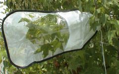 Insect  Rearing Sleeve,  38 x 19 inches,  RS200