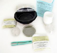 Silkworm Moth (Bombyx mori) Rearing  Kit with certificate for silkworms, SW12