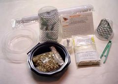 Hummingbird Hawkmoth(Manduca sexta) Student kit with 6-12 larvae-Ship ASAP-No Certificate, THW61A