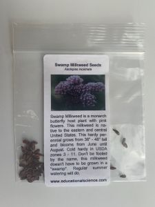 Asclepias incarnata  (Swamp Milkweed), Packet of 10-20 seeds, AIN40
