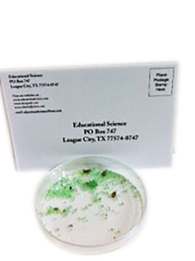 hw_20eggs_1_recortada_2.jpg