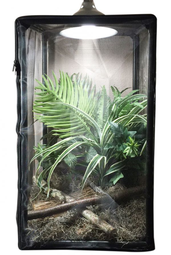 Outdoor Observation Plant and Small Animal Terrarium Pop up Open-16 x 16 x 24 1PCS Blue ANTOLL 1PCS Large Size Habitat Cage Dragonfly Butterfly Flying Insect Mesh Cage 