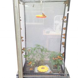 Lepidtarium - Butterfly and Moth Terrarium / Parasitoid-Proof Rearing, Breeding, Display Cage/Habitat -16.5x30x48-in 13.75 Cu. Ft.(LH100)