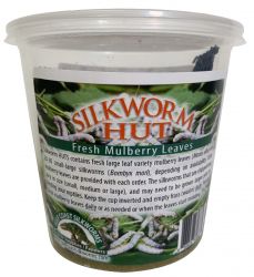 Silkworm Feeder HUT, 20-30 silkworms, with large leaf variety Mulberry leaves, SWPM30
