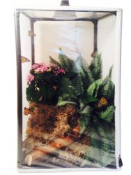 Lepidtarium - Butterfly and Moth Terrarium / Parasitoid-Proof Rearing, Breeding, Display Cage/Habitat - 16.5x16.5x30-in  4.73 Cu. Ft.(LH38)  