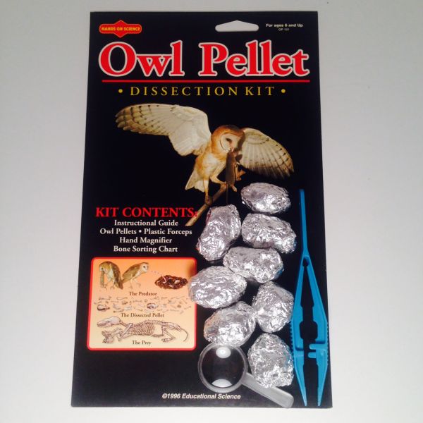 Keep your kid busy with owl pellet dissecting activity this quarantine